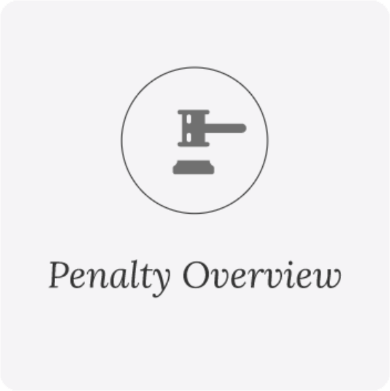 icon-penalty-overview